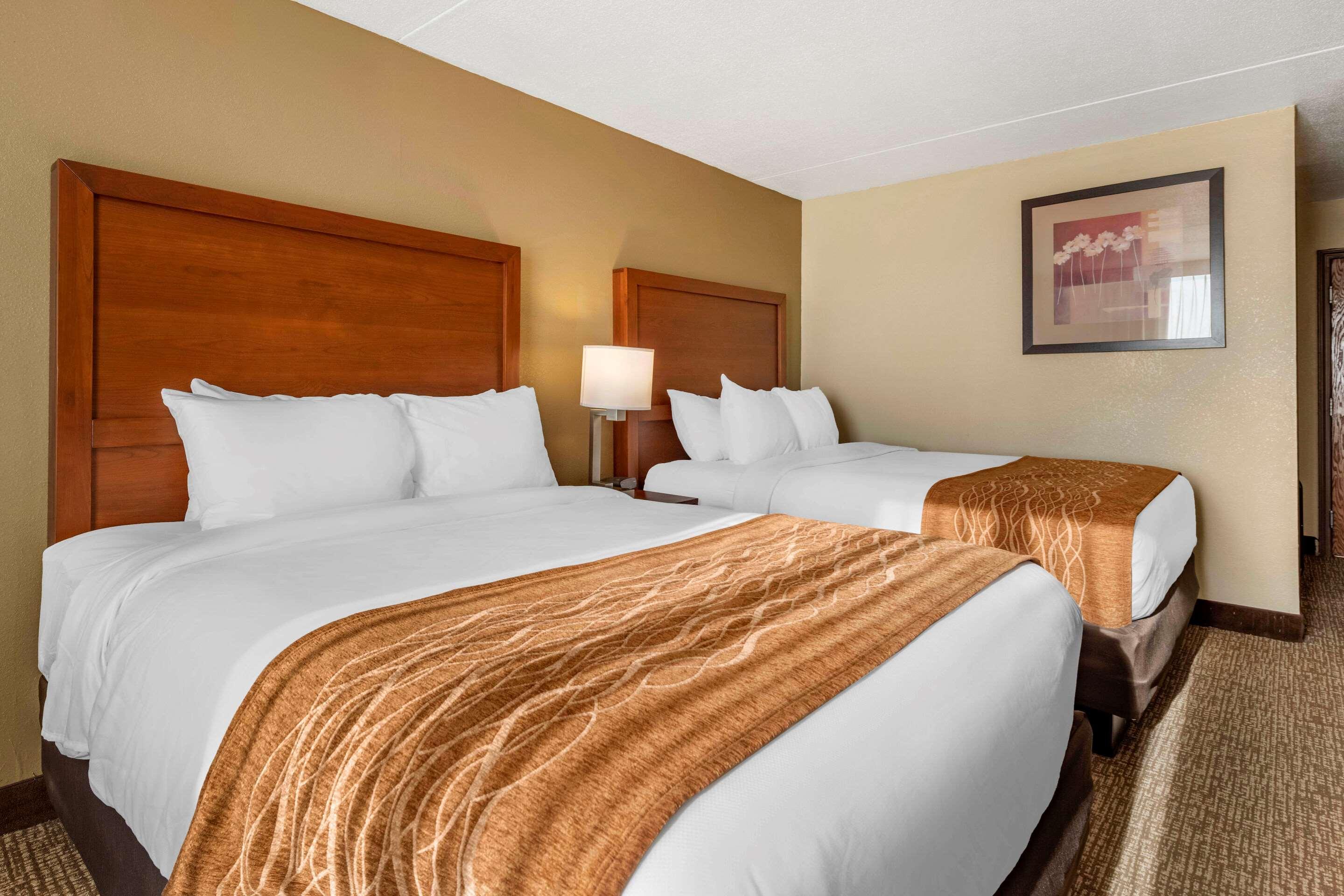 Comfort Inn & Suites Triadelphia Zewnętrze zdjęcie